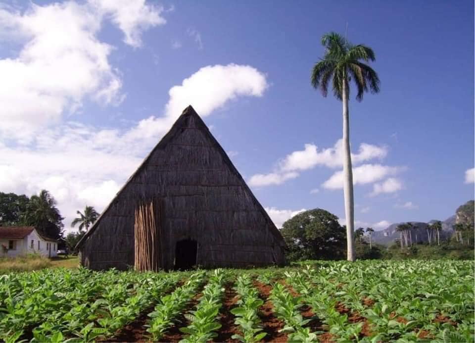 vinales valley cuba