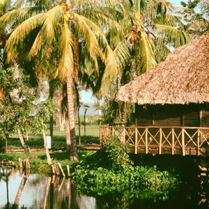 tailor made tours bay of pigs