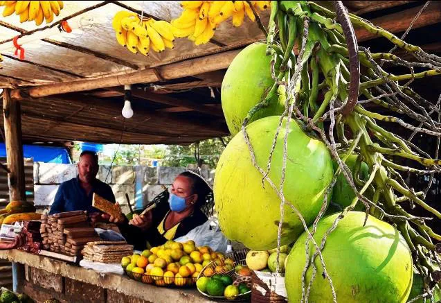 guama en cuba