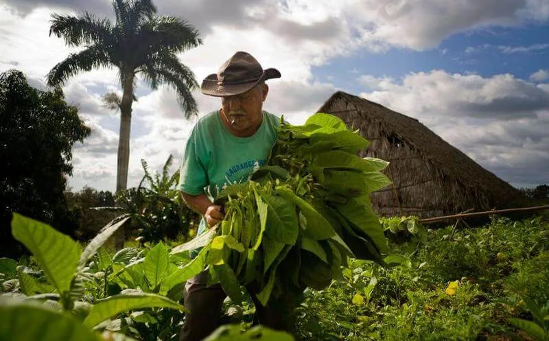cuba day tours