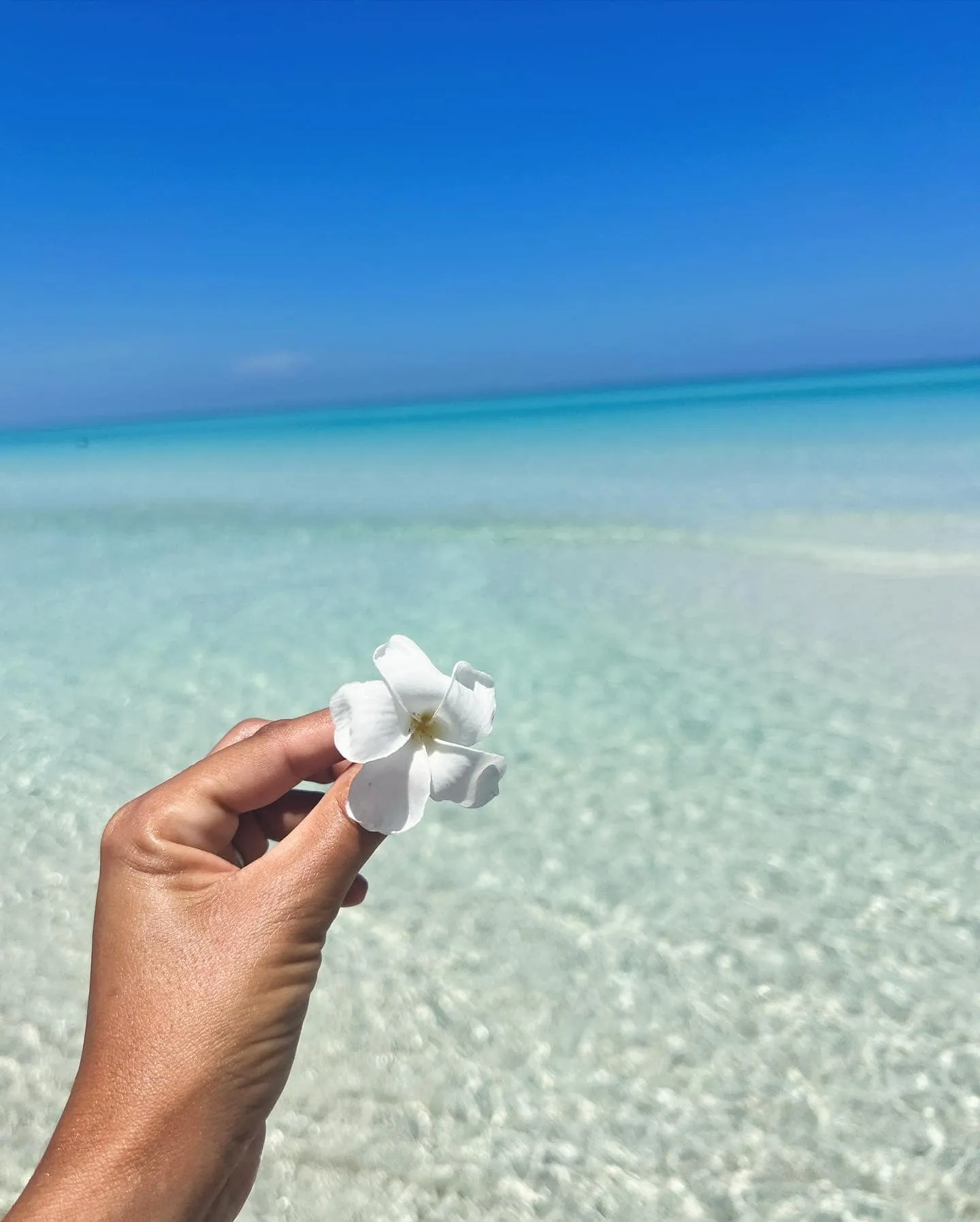 varadero beach pincture